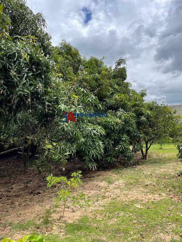 CHÁCARA FAZENDA AMADEUS – ARAÇOIABA DA SERRA - Araçoiaba da Serra - 