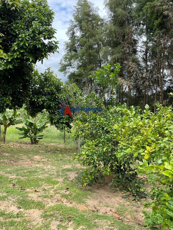 CHÁCARA FAZENDA AMADEUS – ARAÇOIABA DA SERRA - Araçoiaba da Serra - 