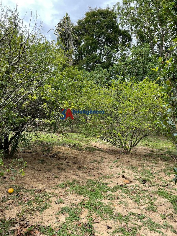 CHÁCARA FAZENDA AMADEUS – ARAÇOIABA DA SERRA - Araçoiaba da Serra - 