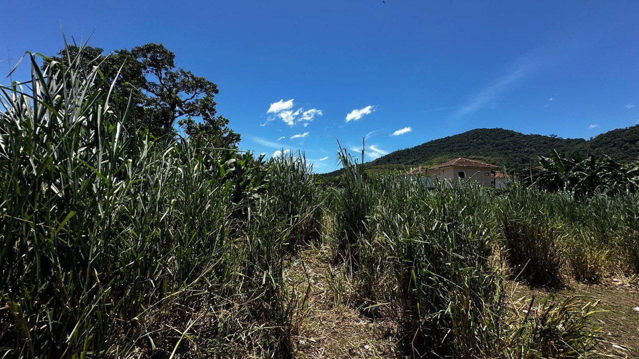 Terreno à venda, 360m² - Foto 3