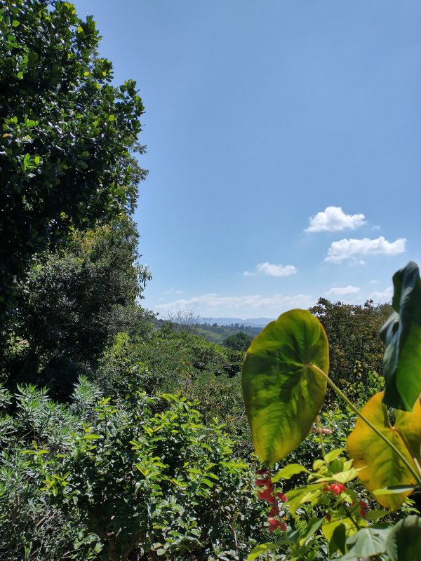 Chácara com ótima localização - Santana de Parnaíba - 