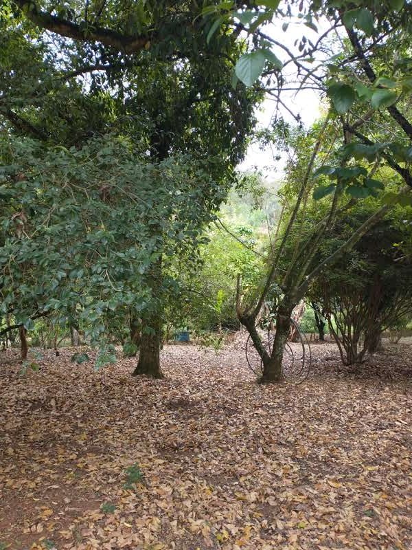 Chácara com ótima localização - Santana de Parnaíba - 