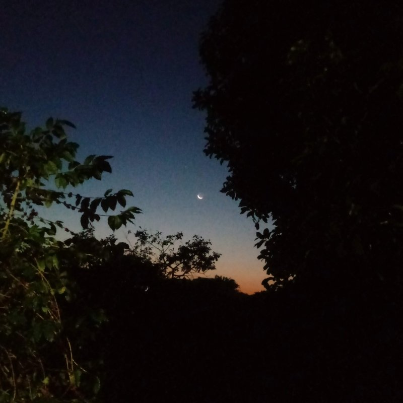 Chácara com ótima localização - Santana de Parnaíba - 