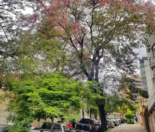 Apartamento 2 quartos no Méier Rua Dias da Cruz   Rio de Janeiro - 