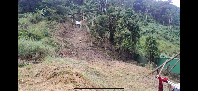 TERRENO NO CENTRO II BEM LOCALIZADO CENTRO II Brusque - 