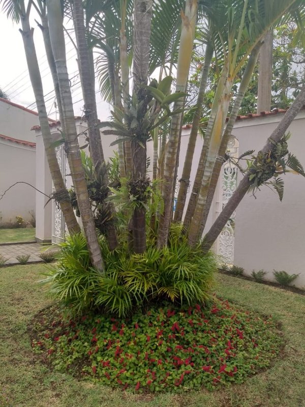 Casa térrea com 03 dormitórios, suíte com banheira, ampla cozinha - Mogi das Cruzes - 