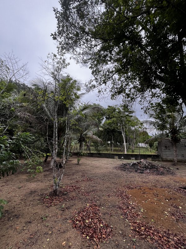 SÍTIO LOCALIZADO NO BAIRRO JAPARA ARRAIAL D’AJUDA BA Rua do beija flor  Porto Seguro - 