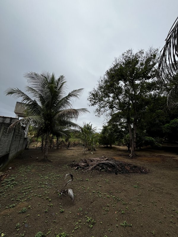 SÍTIO LOCALIZADO NO BAIRRO JAPARA ARRAIAL D’AJUDA BA Rua do beija flor  Porto Seguro - 