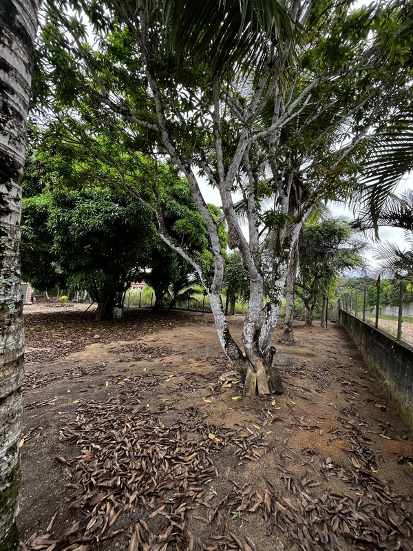 SÍTIO LOCALIZADO NO BAIRRO JAPARA ARRAIAL D’AJUDA BA Rua do beija flor  Porto Seguro - 