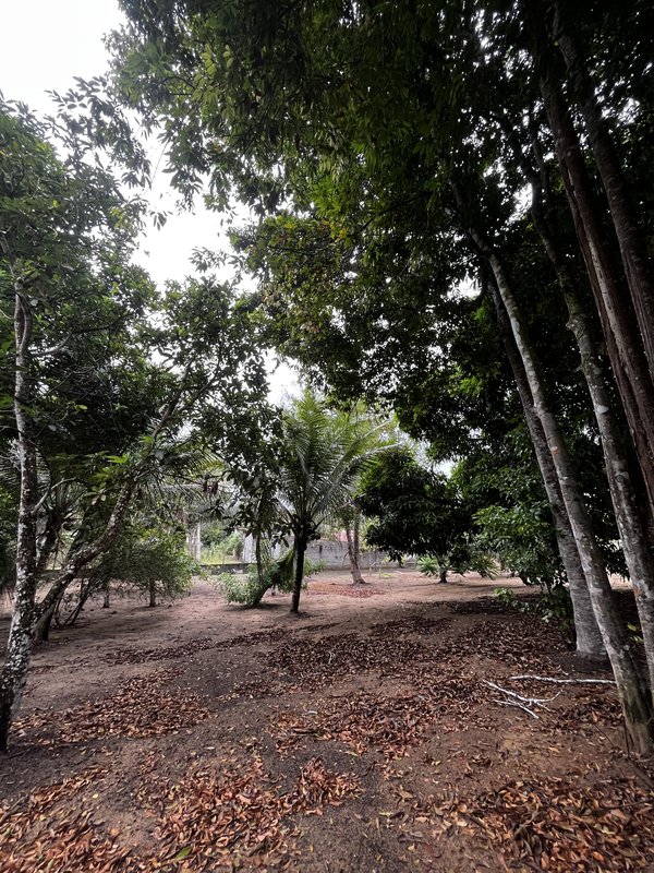 SÍTIO LOCALIZADO NO BAIRRO JAPARA ARRAIAL D’AJUDA BA Rua do beija flor  Porto Seguro - 