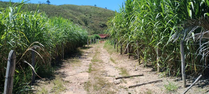 SITIO COM 24 HECTARES EM SÃO JOSÉ DOS CAMPOS, SP - São José dos Campos - 