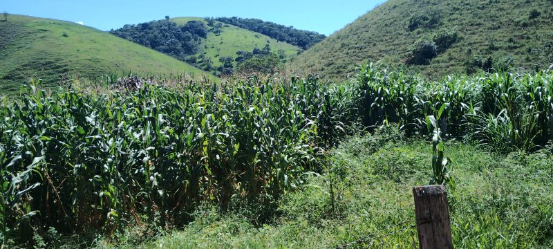 SITIO COM 24 HECTARES EM SÃO JOSÉ DOS CAMPOS, SP - São José dos Campos - 