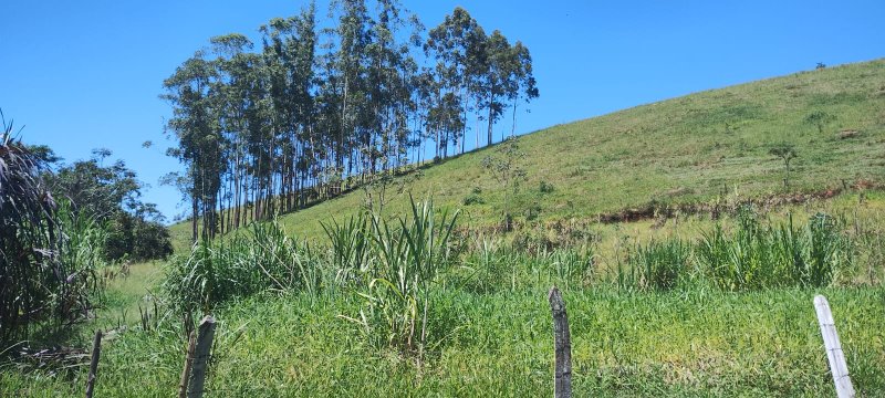 SITIO COM 24 HECTARES EM SÃO JOSÉ DOS CAMPOS, SP - São José dos Campos - 