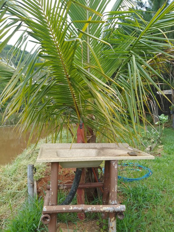 Chacara em paraibuna com 6.000 metros. SP - Paraibuna - 