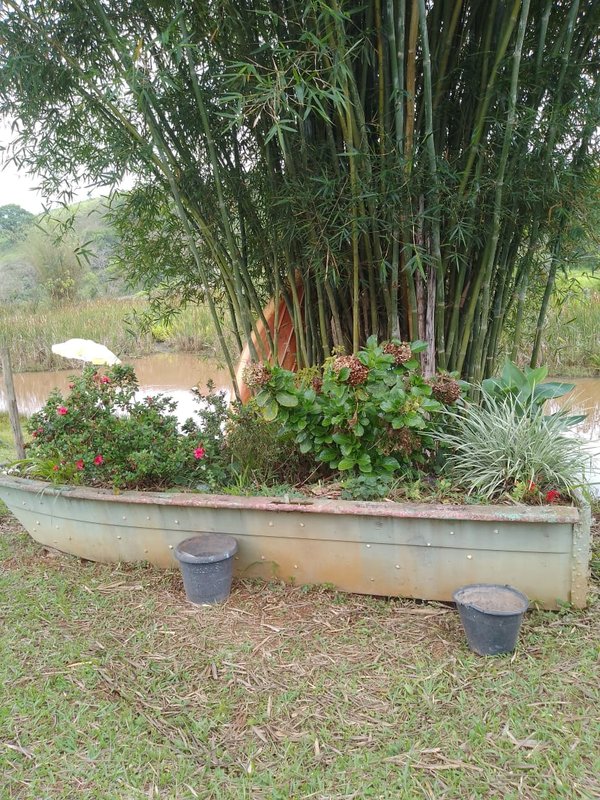 Chacara em paraibuna com 6.000 metros. SP - Paraibuna - 