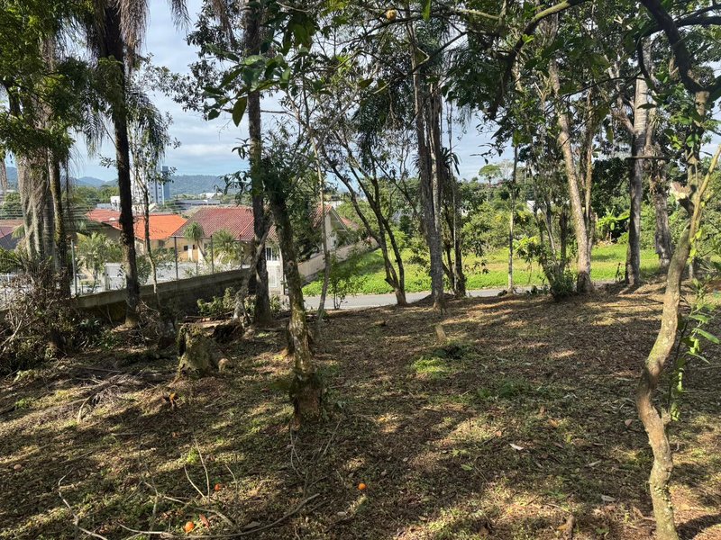 Terreno à venda com 416,44 m² no bairro dos Estados — perfeito para construir seu lar! - Timbó - 
