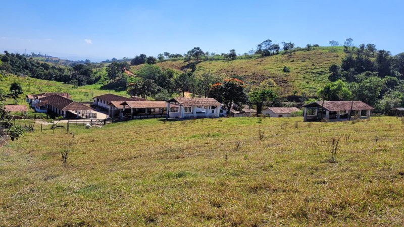 Fazenda com 134 alqueires em caçapava SP - Caçapava - 