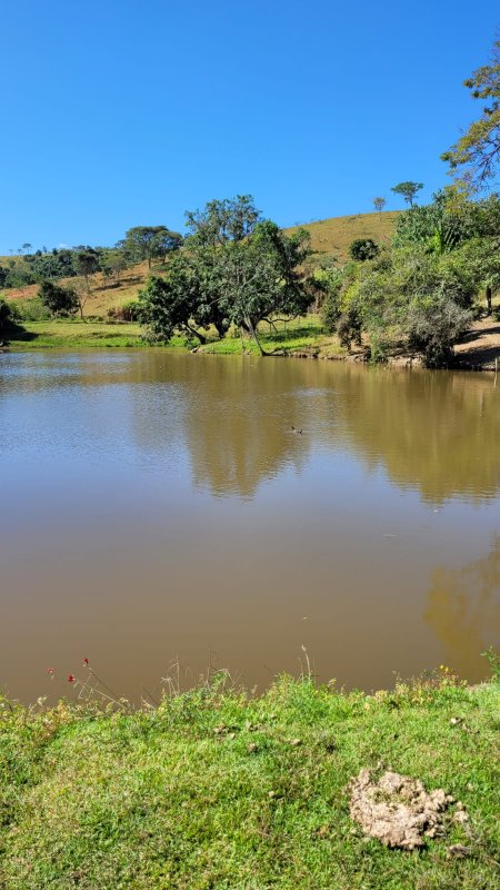 Fazenda com 134 alqueires em caçapava SP - Caçapava - 