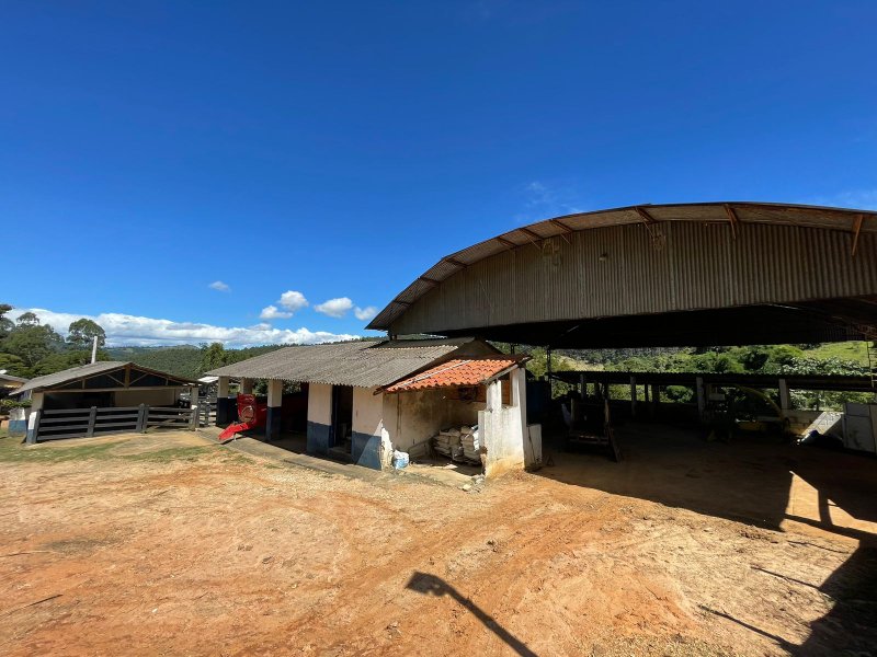 Fazenda com 156 alqueires em lagoinha Sp - LAGOINHA - 