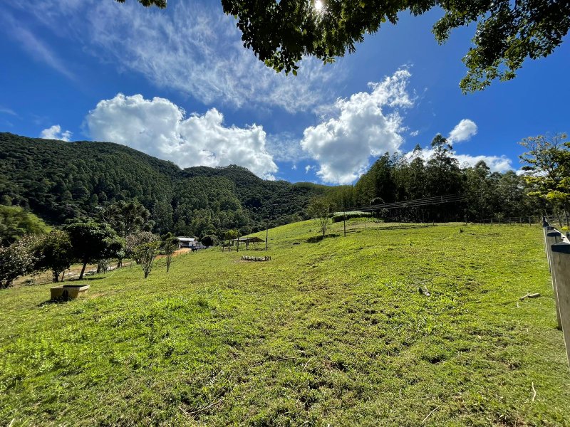 Fazenda com 156 alqueires em lagoinha Sp - LAGOINHA - 
