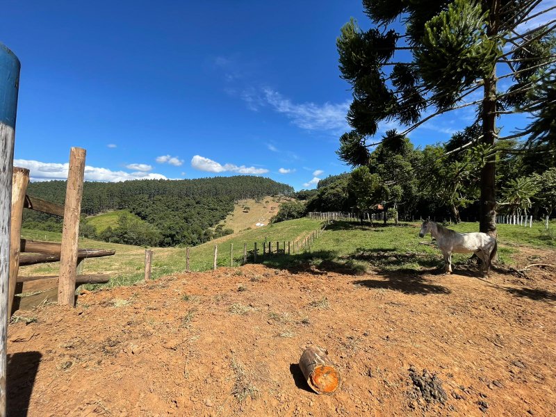 Fazenda com 156 alqueires em lagoinha Sp - LAGOINHA - 