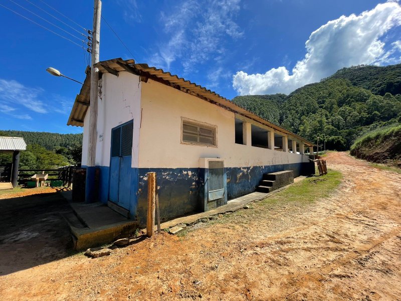 Fazenda com 156 alqueires em lagoinha Sp - LAGOINHA - 