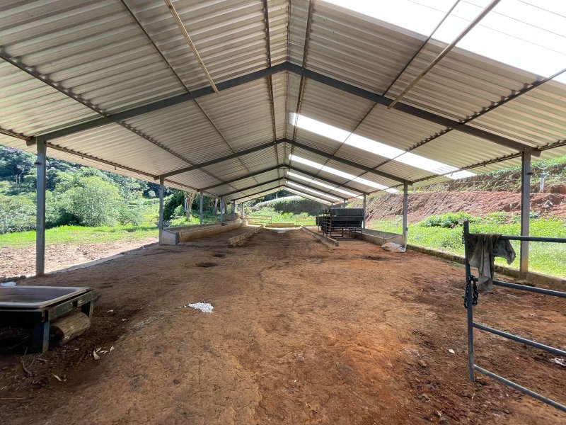 Fazenda com 156 alqueires em lagoinha Sp - LAGOINHA - 