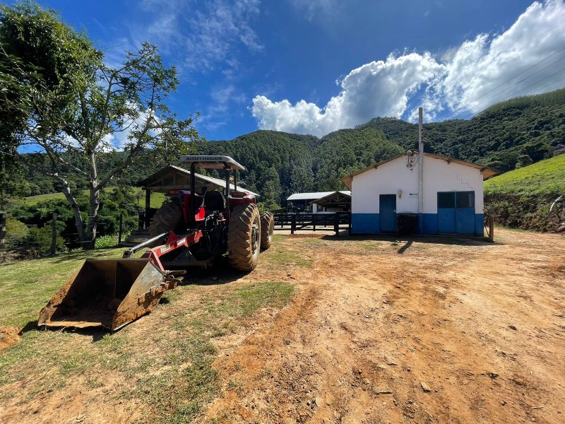 Fazenda com 156 alqueires em lagoinha Sp - LAGOINHA - 