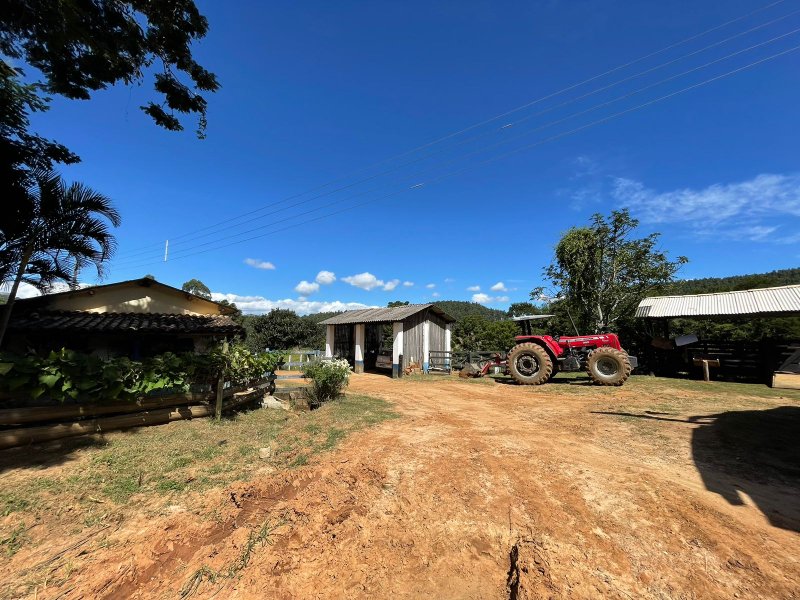 Fazenda com 156 alqueires em lagoinha Sp - LAGOINHA - 
