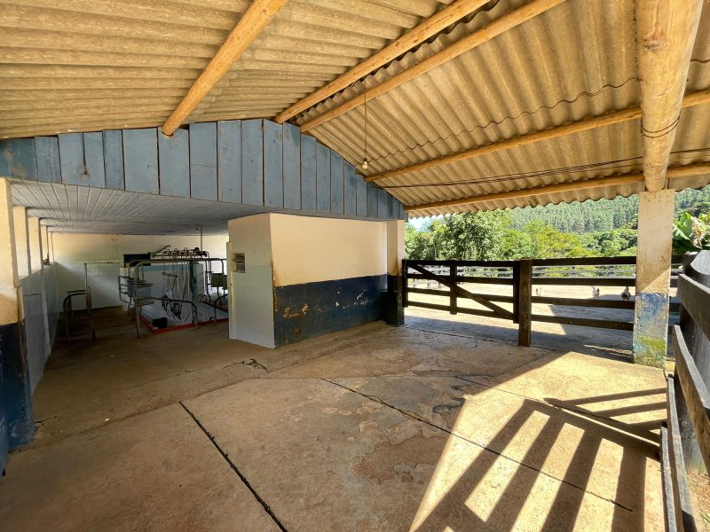 Fazenda com 156 alqueires em lagoinha Sp - LAGOINHA - 