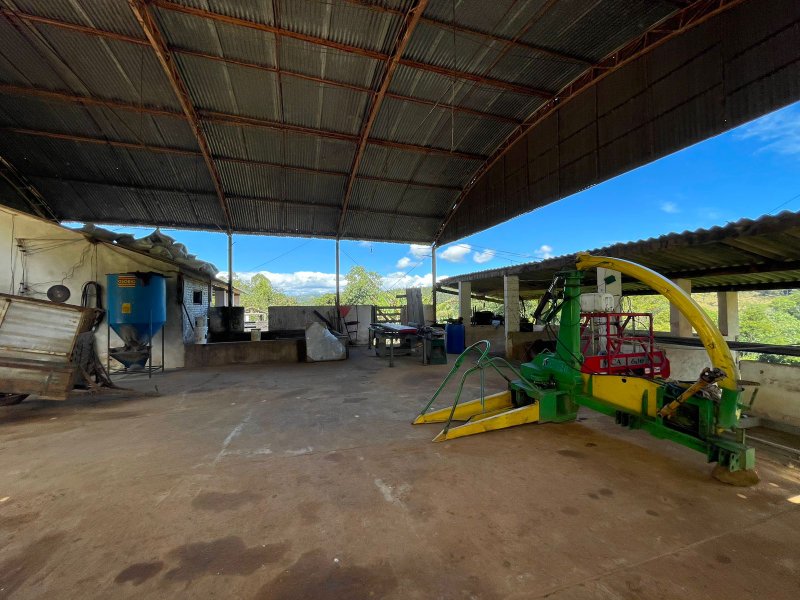 Fazenda com 156 alqueires em lagoinha Sp - LAGOINHA - 