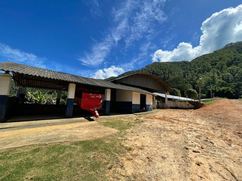 Fazenda com 156 alqueires em lagoinha Sp - LAGOINHA - 