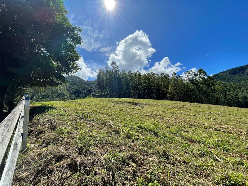 Fazenda com 156 alqueires em lagoinha Sp - LAGOINHA - 