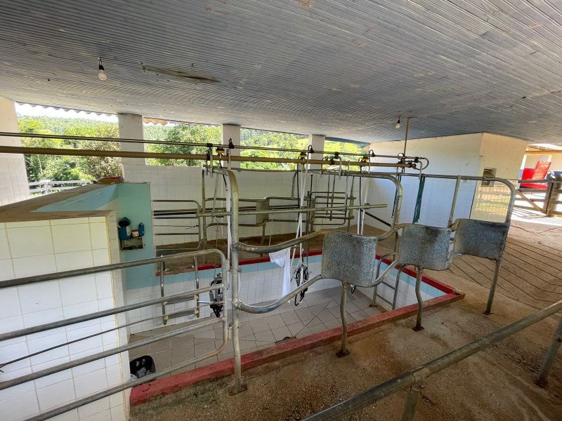 Fazenda com 156 alqueires em lagoinha Sp - LAGOINHA - 