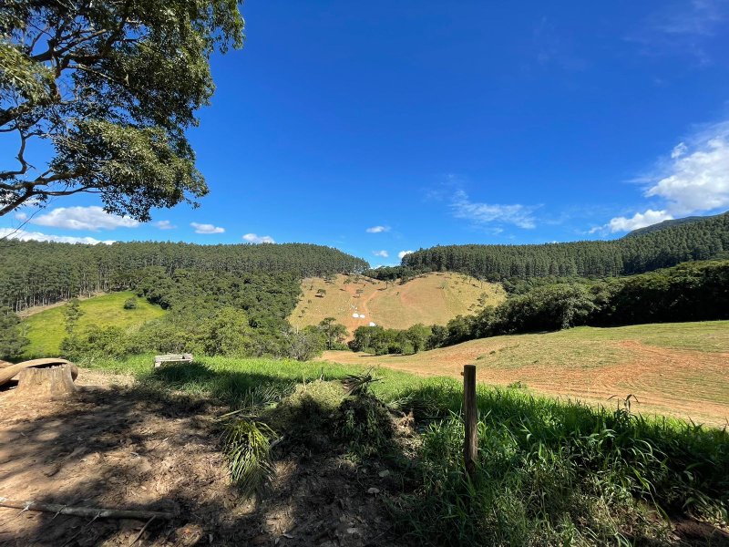Fazenda com 156 alqueires em lagoinha Sp - LAGOINHA - 