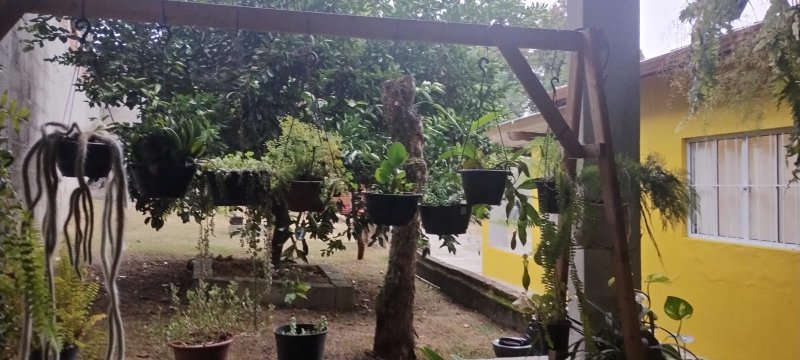 Chácara com 1.600 metros em Caçapava, S.P - Caçapava - 