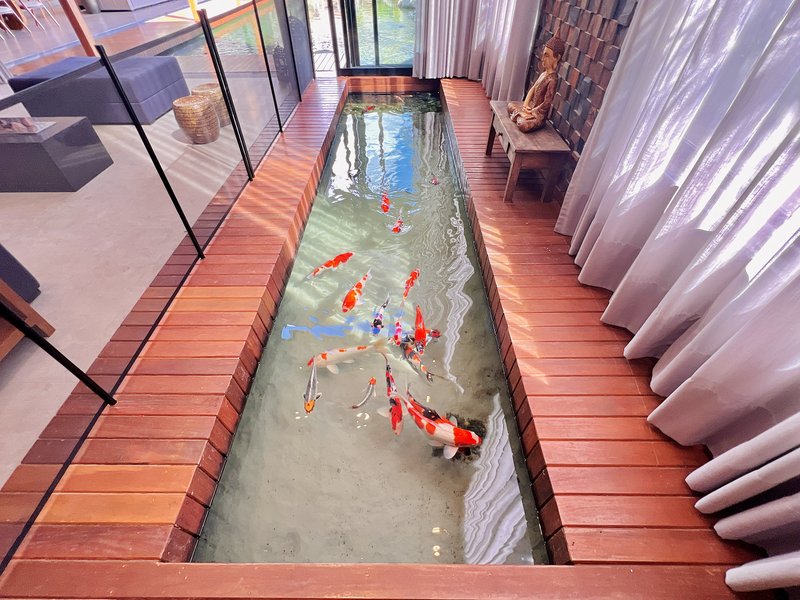 CASA COM LAGO DE CARPAS ESPETACULAR Rodovia Raposo Tavares Sorocaba - 