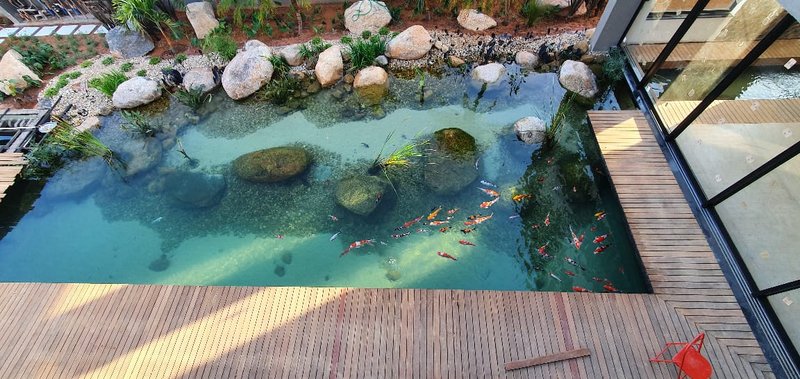 CASA COM LAGO DE CARPAS ESPETACULAR Rodovia Raposo Tavares Sorocaba - 
