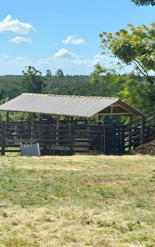 R$ 22.000.000 - MARAVILHOSA PROPRIEDADE RURAL - 250HA - PECUÁRIA - CULTIVO DE SOJA Estrada Agronomia Eldorado do Sul - 