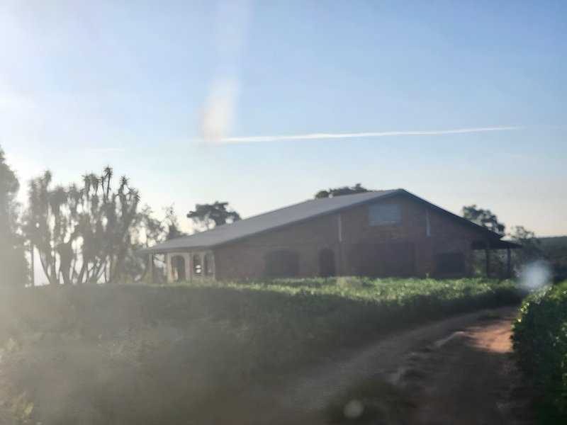 R$ 22.000.000 - MARAVILHOSA PROPRIEDADE RURAL - 250HA - PECUÁRIA - CULTIVO DE SOJA Estrada Agronomia Eldorado do Sul - 