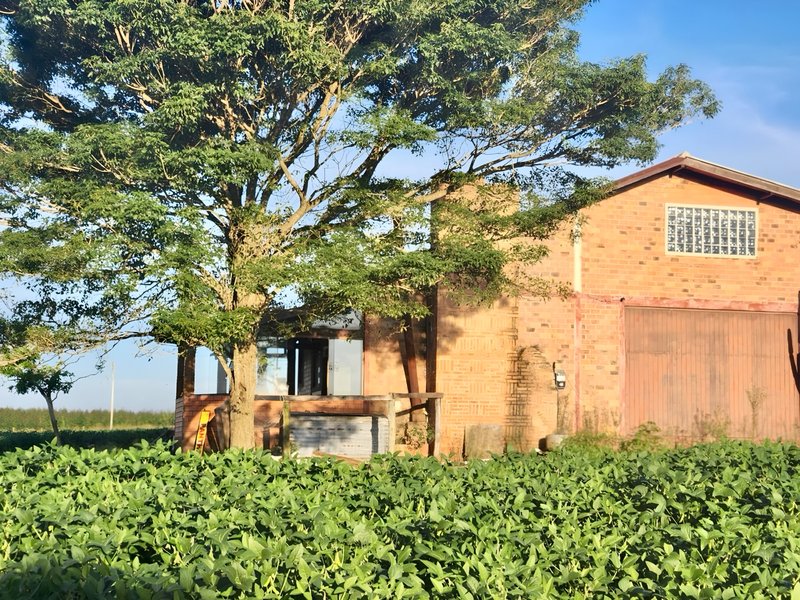 R$ 22.000.000 - MARAVILHOSA PROPRIEDADE RURAL - 250HA - PECUÁRIA - CULTIVO DE SOJA Estrada Agronomia Eldorado do Sul - 