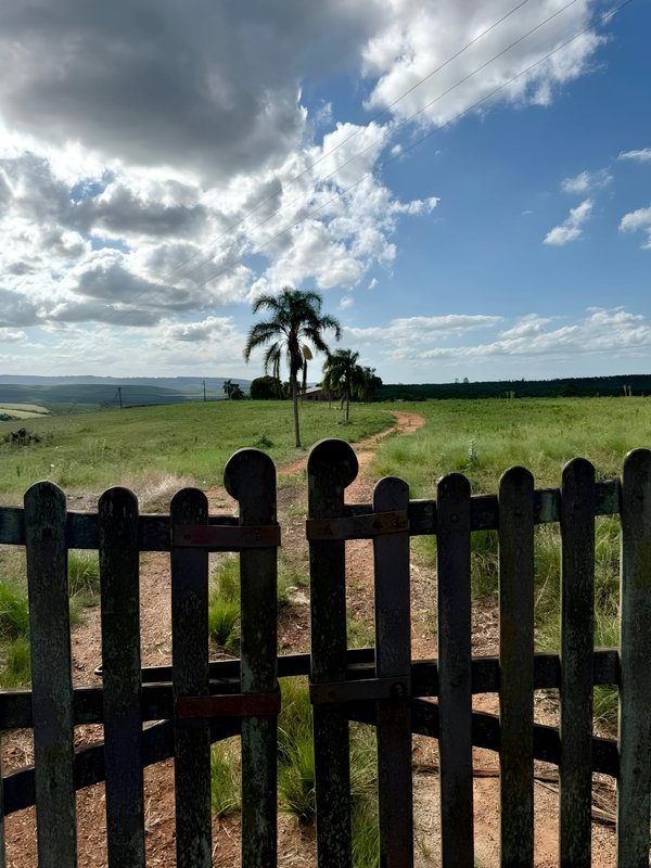 R$ 22.000.000 - MARAVILHOSA PROPRIEDADE RURAL - 250HA - PECUÁRIA - CULTIVO DE SOJA Estrada Agronomia Eldorado do Sul - 