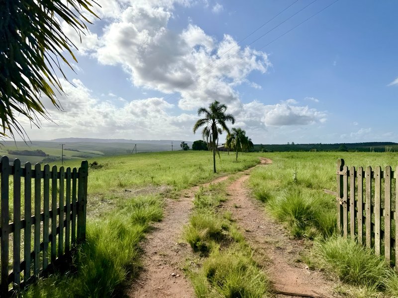 R$ 22.000.000 - MARAVILHOSA PROPRIEDADE RURAL - 250HA - PECUÁRIA - CULTIVO DE SOJA Estrada Agronomia Eldorado do Sul - 
