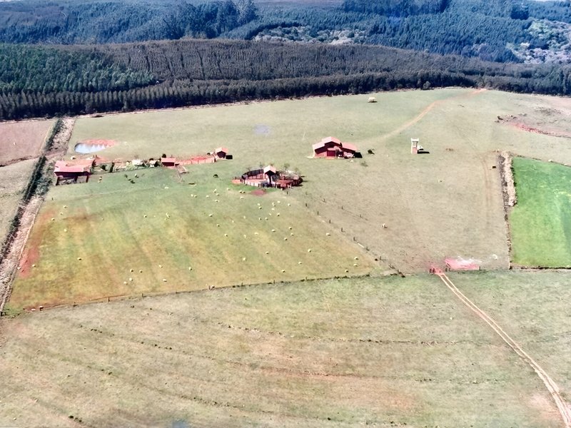 R$ 22.000.000 - MARAVILHOSA PROPRIEDADE RURAL - 250HA - PECUÁRIA - CULTIVO DE SOJA Estrada Agronomia Eldorado do Sul - 