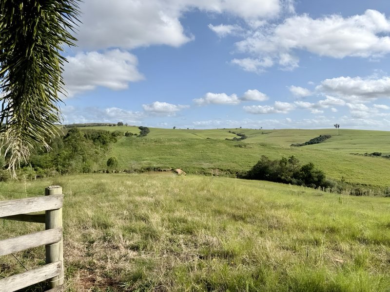 R$ 22.000.000 - MARAVILHOSA PROPRIEDADE RURAL - 250HA - PECUÁRIA - CULTIVO DE SOJA Estrada Agronomia Eldorado do Sul - 