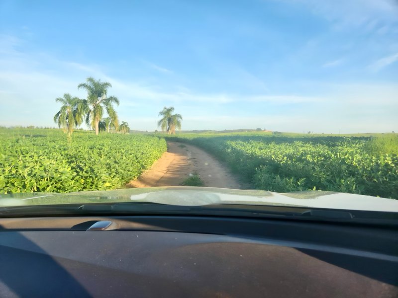 R$ 22.000.000 - MARAVILHOSA PROPRIEDADE RURAL - 250HA - PECUÁRIA - CULTIVO DE SOJA Estrada Agronomia Eldorado do Sul - 