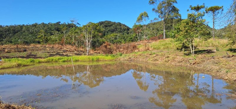 Sítio com 4 alqueires na beira da represa em Paraibuna, S.P - Paraibuna - 