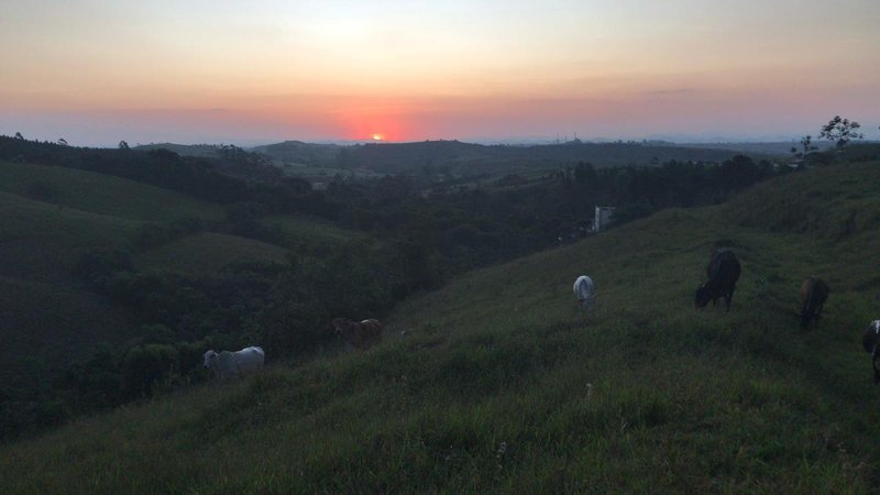 SÍTIO COM 11.5 HECTARES EM JACAREÍ, S.P - Jacareí - 