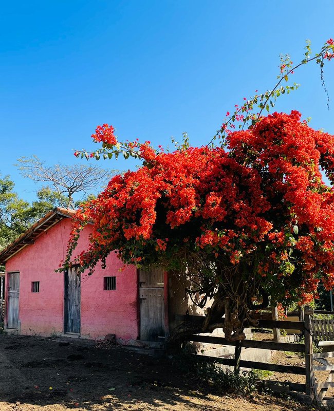 SÍTIO COM 11.5 HECTARES EM JACAREÍ, S.P - Jacareí - 