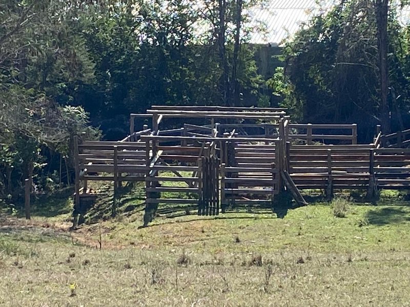 SÍTIO COM 11.5 HECTARES EM JACAREÍ, S.P - Jacareí - 
